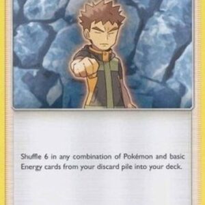Pokemon Brock's Grit