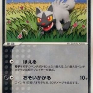 Pokemon Poochyena Japanese