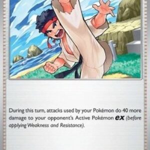 Pokemon Black Belt's Training