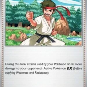 Pokemon Black Belt's Training