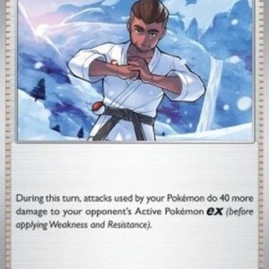 Pokemon Black Belt's Training