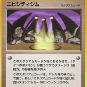 Pokemon Pewter City Gym Japanese