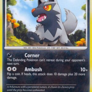 Pokemon Poochyena Lv.17