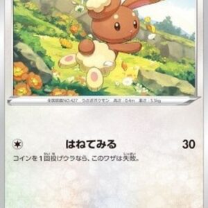 Pokemon Buneary Japanese