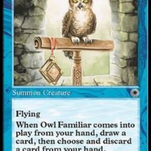Magic: The Gathering Owl Familiar