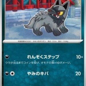 Pokemon Poochyena Japanese