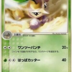 Pokemon Nuzleaf Japanese