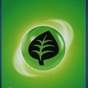 Pokemon Basic Grass Energy
