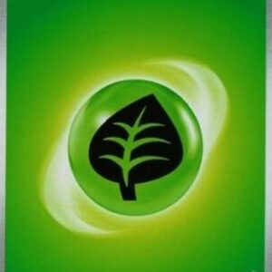 Pokemon Basic Grass Energy