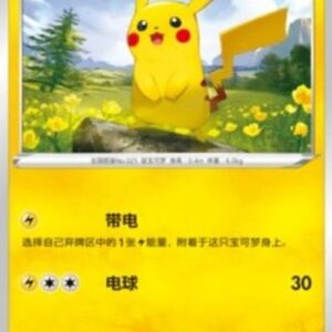 Pokemon Pikachu S-Chinese