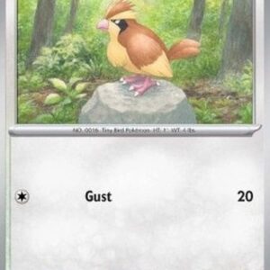 Pokemon Pidgey