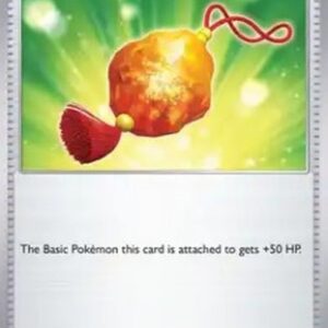 Pokemon Bravery Charm