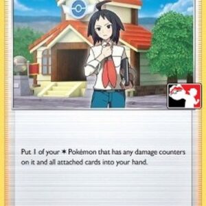 Pokemon Cheren's Care