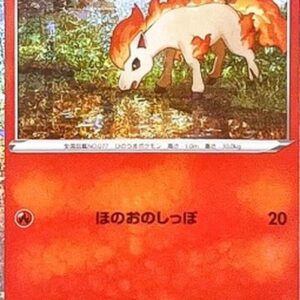 Pokemon Ponyta Japanese