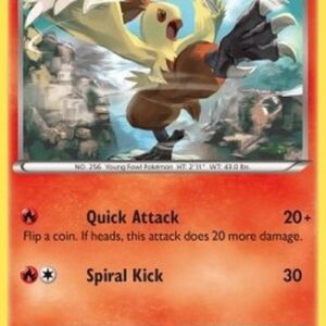 Pokemon Combusken