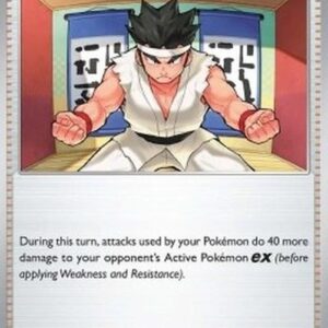 Pokemon Black Belt's Training