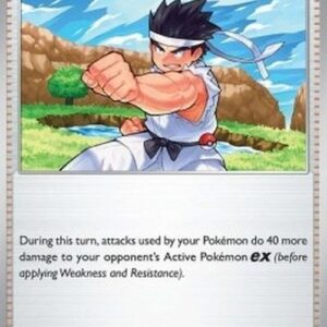 Pokemon Black Belt's Training