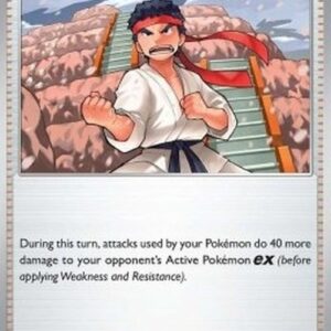 Pokemon Black Belt's Training