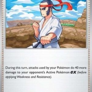 Pokemon Black Belt's Training