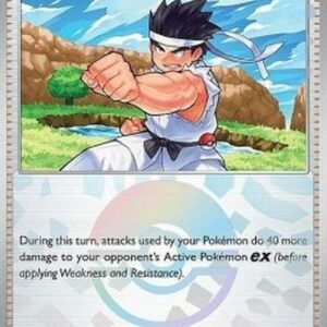 Pokemon Black Belt's Training