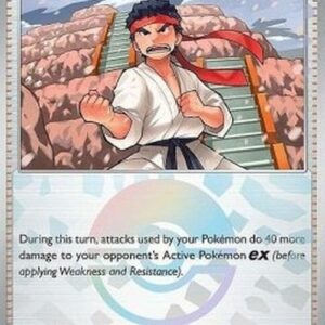 Pokemon Black Belt's Training