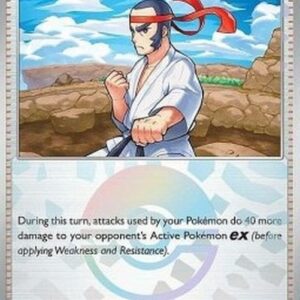 Pokemon Black Belt's Training