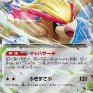 Pokemon Pidgeot ex Japanese