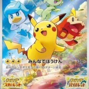 Pokemon Pikachu T-Chinese