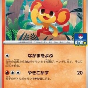 Pokemon Pansear Japanese