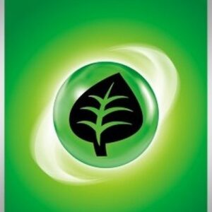 Pokemon Basic Grass Energy Japanese