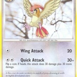 Pokemon Pidgeotto Lv.21