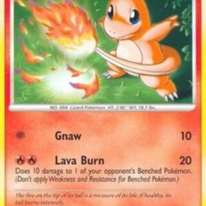 Pokemon Charmander Lv.8