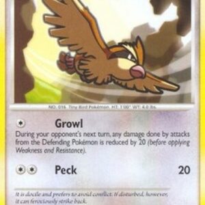 Pokemon Pidgey Lv.8