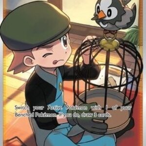 Pokemon Bird Keeper