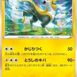 Pokemon Boltund Japanese