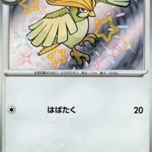 Pokemon Pidgeotto Japanese