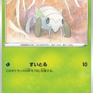 Pokemon Nincada Japanese