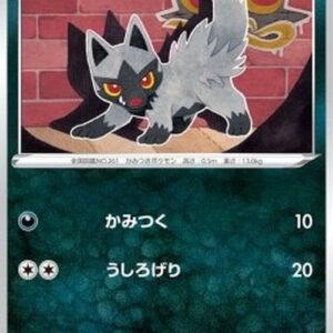 Pokemon Poochyena Japanese