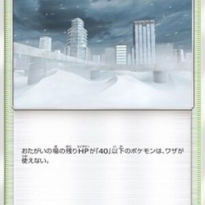 Pokemon Blizzard Town Japanese