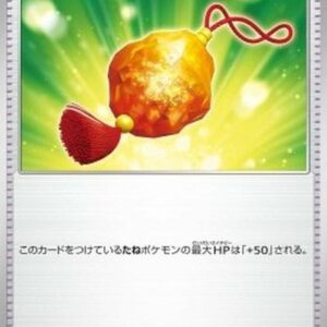 Pokemon Bravery Charm Japanese