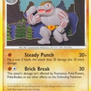 Pokemon Machoke Lv.41