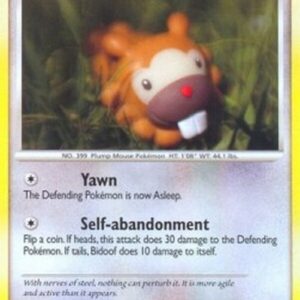 Pokemon Bidoof Lv.13