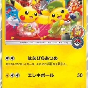 Pokemon Pretend Tea Ceremony Pikachu Japanese