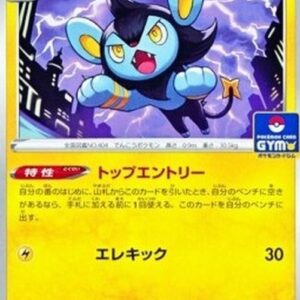 Pokemon Luxio Japanese