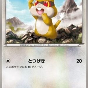 Pokemon Patrat Japanese