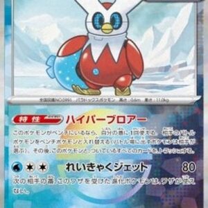 Pokemon Iron Bundle Japanese