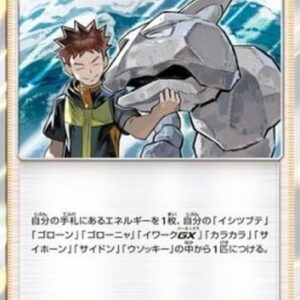 Pokemon Brock's Training Japanese