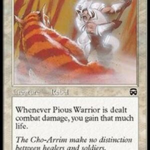 Magic: The Gathering Pious Warrior