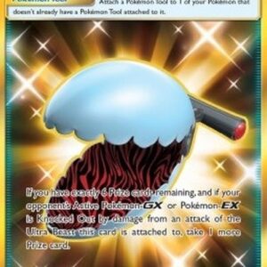 Pokemon Beast Bringer