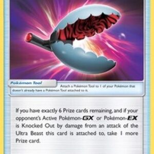 Pokemon Beast Bringer